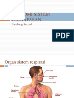 Anatomi fisiologi sistem pernafasan
