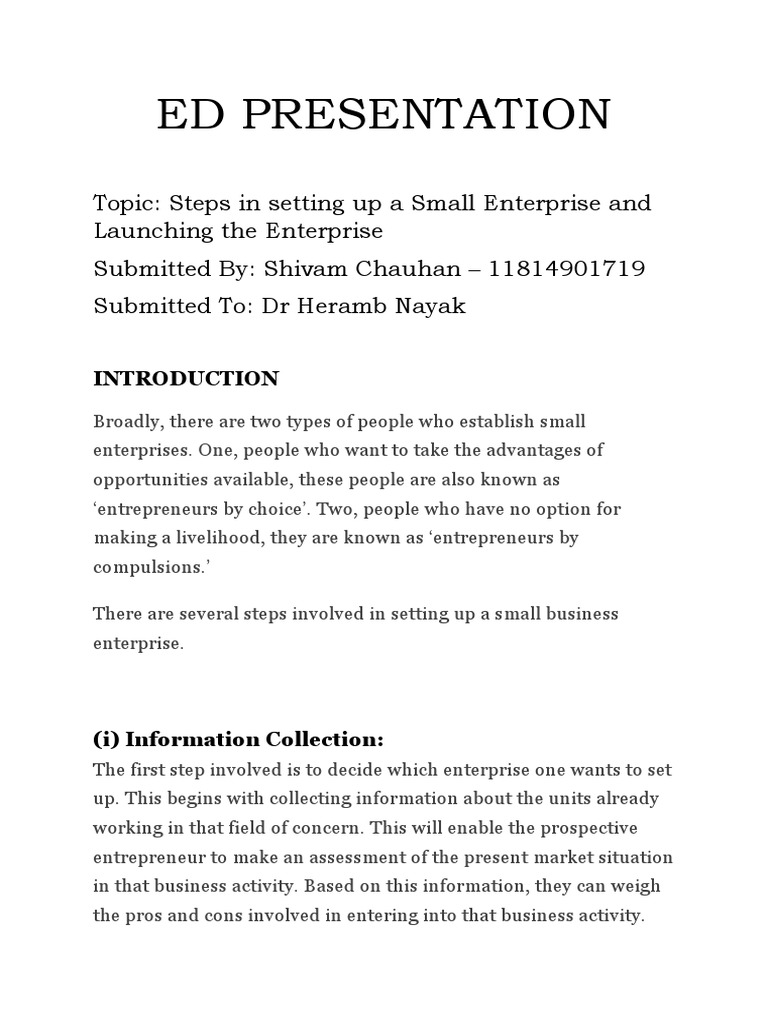 Steps to Launch a Small Enterprise | PDF | Entrepreneurship | Business