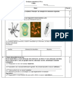 Evaluare Sumativă CL VI Celula