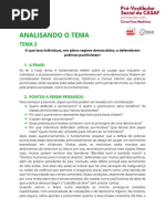 ANALISANDO O TEMA 3