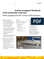12616 Sand Screen Case Study SSD Carbonate Reservoir Celum