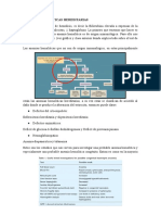 Anemias Hemolíticas Hereditarias