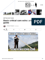 Basic Critical Care Echo_ a Beginners’ Guide - ICU Revisited