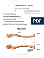 Clavicle: Fracture While Falling in Outstreched and Lateral 1/3