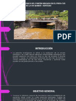 Informe Patológico Del Pontón Ubicado en El Pr55+745