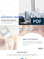 Business Profile: Presentation Template