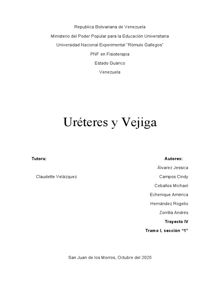Fisiología De Ureteres Y Vejiga Pdf Sistema Urinario Vejiga Urinaria