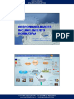 PDF Presentacion Responsabilidades