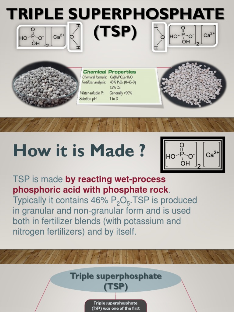 TSP Fertilizer PDF Fertilizer Phosphate