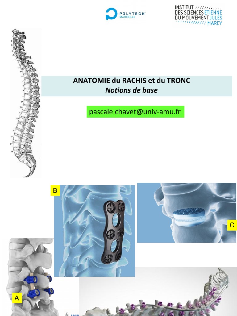 Anatomie du Rachis et Mobilité | PDF | Colonne vertébrale | Vertèbre