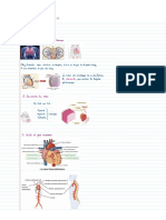 Anat 2