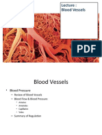 Cardiovascular PART 2