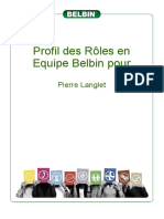 Profil Des Rôles en Equipe Belbin Pour: Pierre Langlet