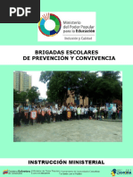Funciones de Brigadas Escolares | PDF | Primeros auxilios | Salón de clases
