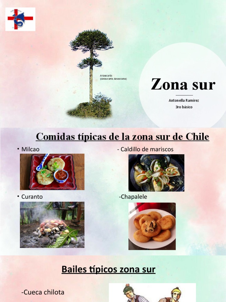 Comidas y tradiciones del sur de Chile | PDF | Cocina, comidas y vino