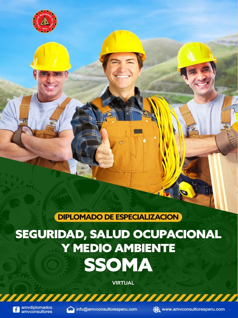 Diplomado en Seguridad y Salud Ocupacional | PDF | Seguridad y salud ...