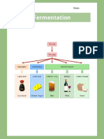 Fermentation Worksheet 1