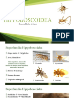 Hippoboscoidea