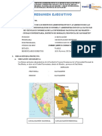 Resumen Ejecutivo Cc. Ee. Unsm