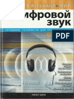 Питер Кирн Цифровой Звук (2008)