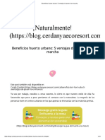 Beneficios Huerto Urbano - 5 Ventajas de Ponerlo en Marcha