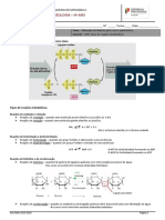 FT18 - Tipos de reações metabólicas+correção