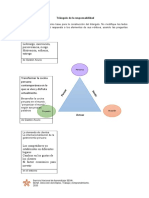 Anexo Formato Triangulo de La Responsabilidad