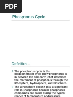 Phosphorus Cycle PPT