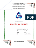 Báo Cáo Bài Tập Lớn