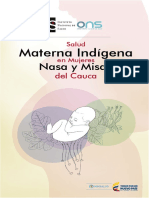 Estadistica de La Salud Materna en Colombia y Su Inclucion