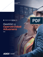 Diplomado Online Gestion y Operatividad Aduanera