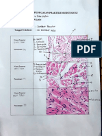 Praktikum Histologi - Topik 3 - Viona Sekar Melati - J2A020005