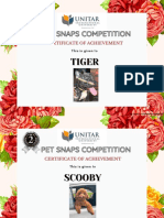 Pet Snaps Competition Certificates