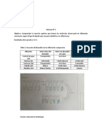 Informe #2