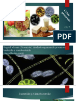 Celule Procariote CL.7