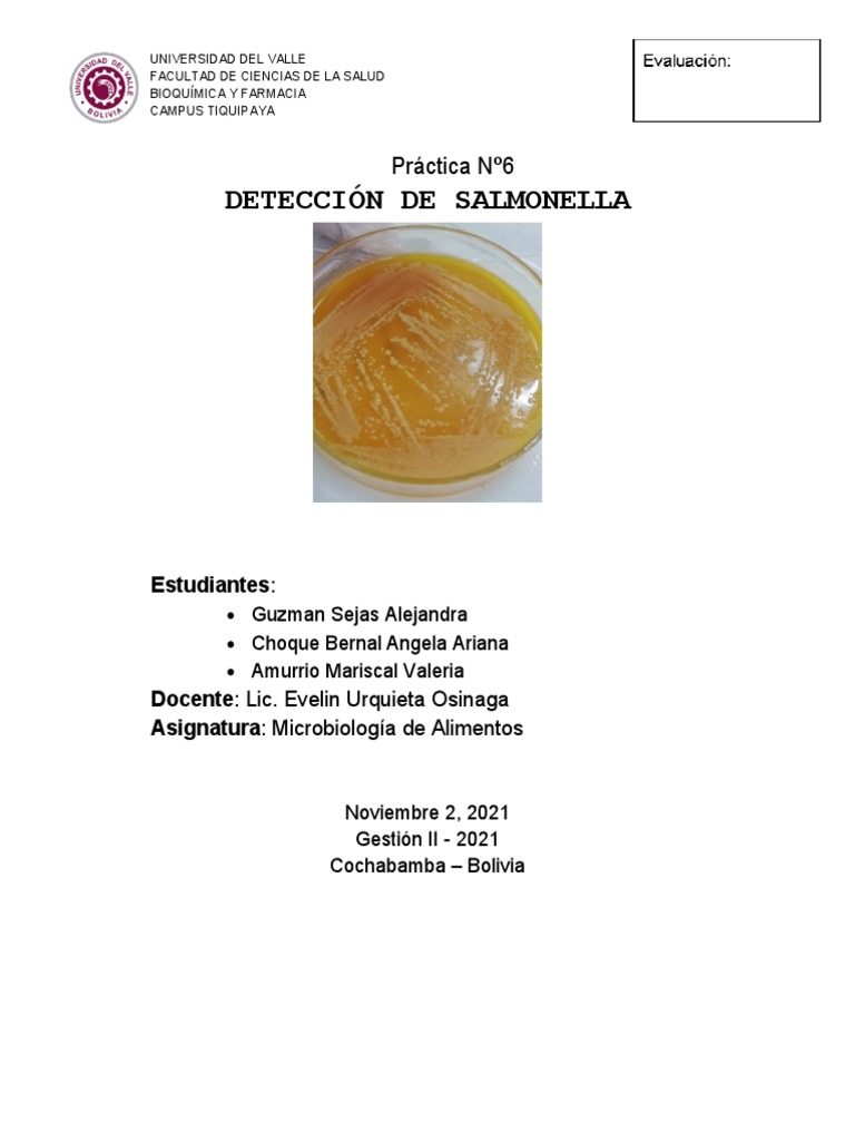 Detección de Salmonella en Alimentos | PDF | Salmonela | Microbiología