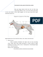 Akhmad Pandu Aji_19820099_Organ Sistem Digesti sub Large Intestine Anjing