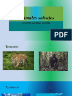 Tarea de Computo Animales Salvajes