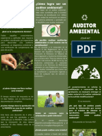 Folleto Auditoría