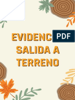 Evidencia Salida A Terreno