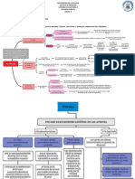 Tarea Del Pancreas