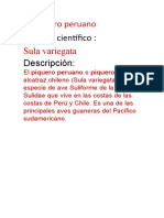 Piquero peruano Sula variegata descripción