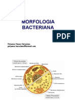 Morfologia Bacteriana_1