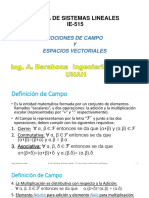 Primera Leccion Campos y Espacios Vectoriales