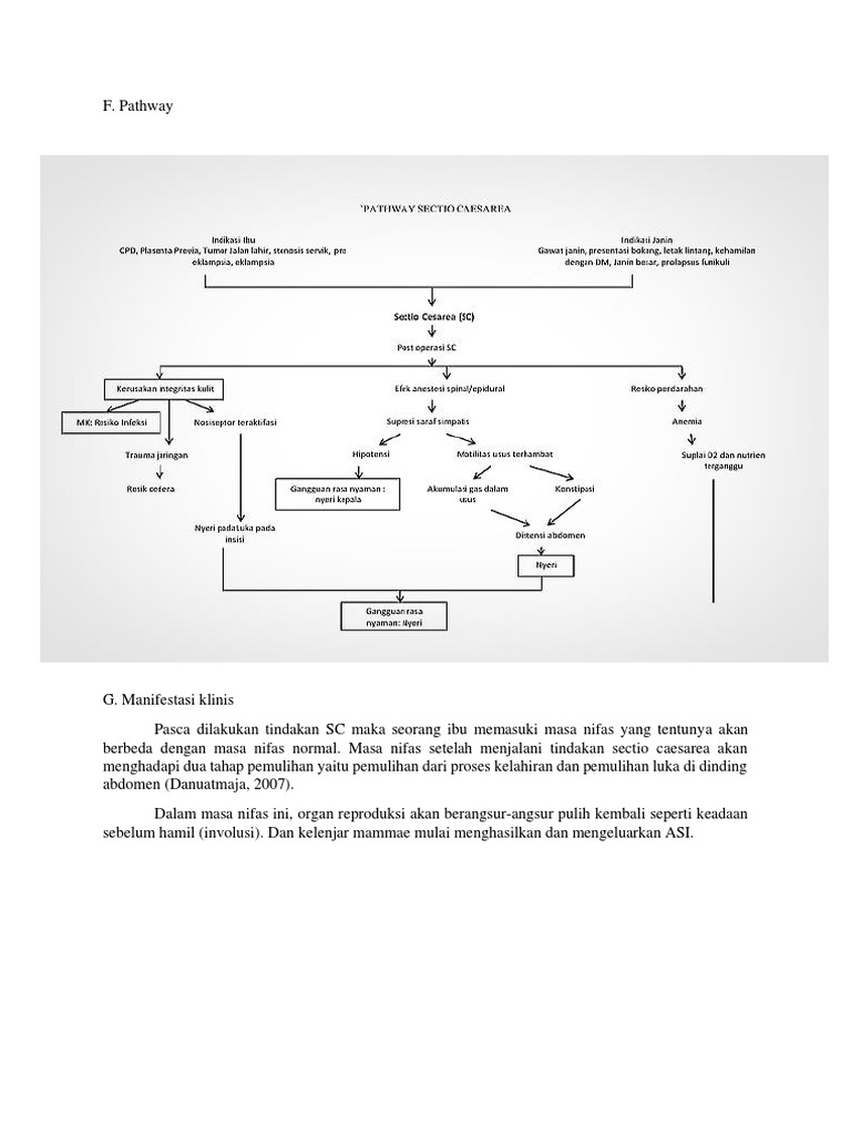 Pathway Pemulihan Nifas Pasca SC | PDF