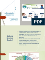 PDF Presentacion Del SNC # 6