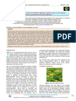 Various Pharmacological Actions of Calendula Officinalis, Tagetes Erecta, Carica Papaya