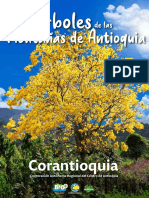 Árboles de Las Montañas de Antioquia 2021