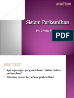 Sistem Perkemihan