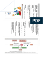 Acute Rheumatic Fever Symptoms and Immune Response